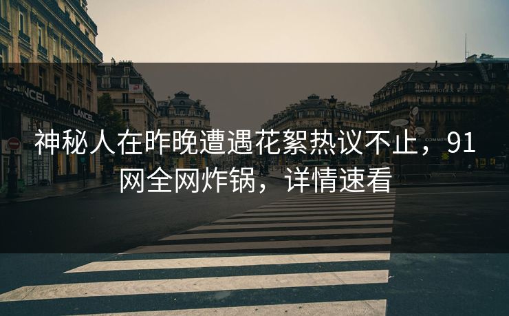 神秘人在昨晚遭遇花絮热议不止，91网全网炸锅，详情速看