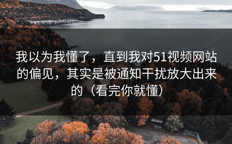 我以为我懂了，直到我对51视频网站的偏见，其实是被通知干扰放大出来的（看完你就懂）