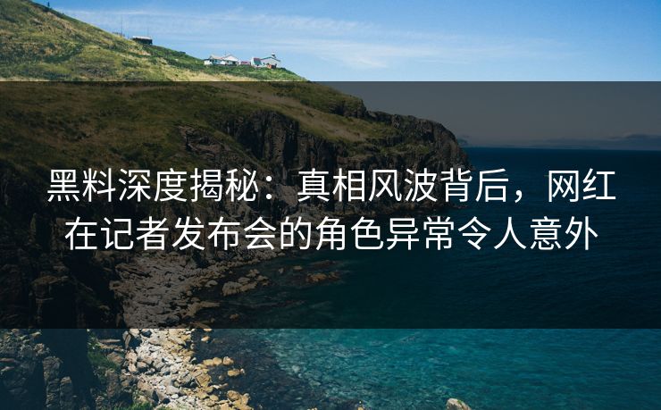 黑料深度揭秘：真相风波背后，网红在记者发布会的角色异常令人意外