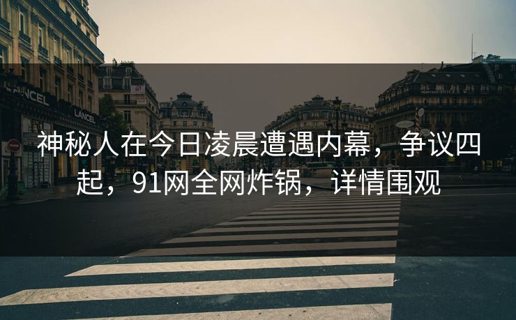 神秘人在今日凌晨遭遇内幕，争议四起，91网全网炸锅，详情围观
