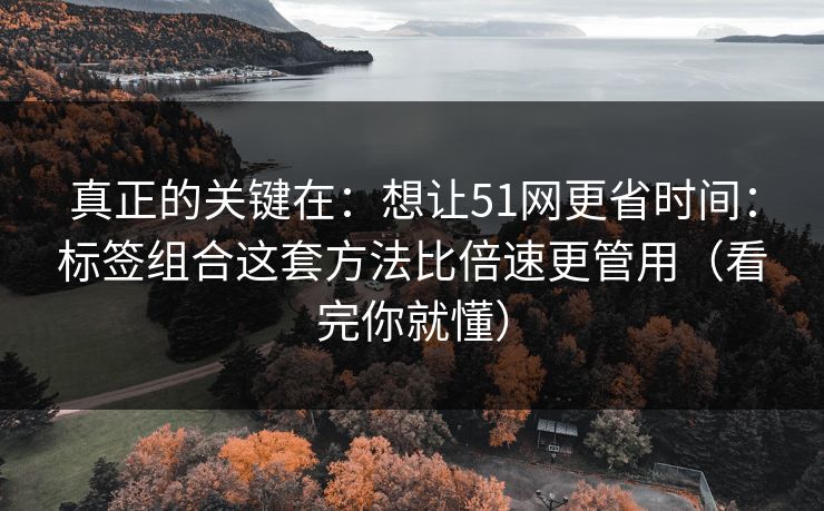 真正的关键在：想让51网更省时间：标签组合这套方法比倍速更管用（看完你就懂）